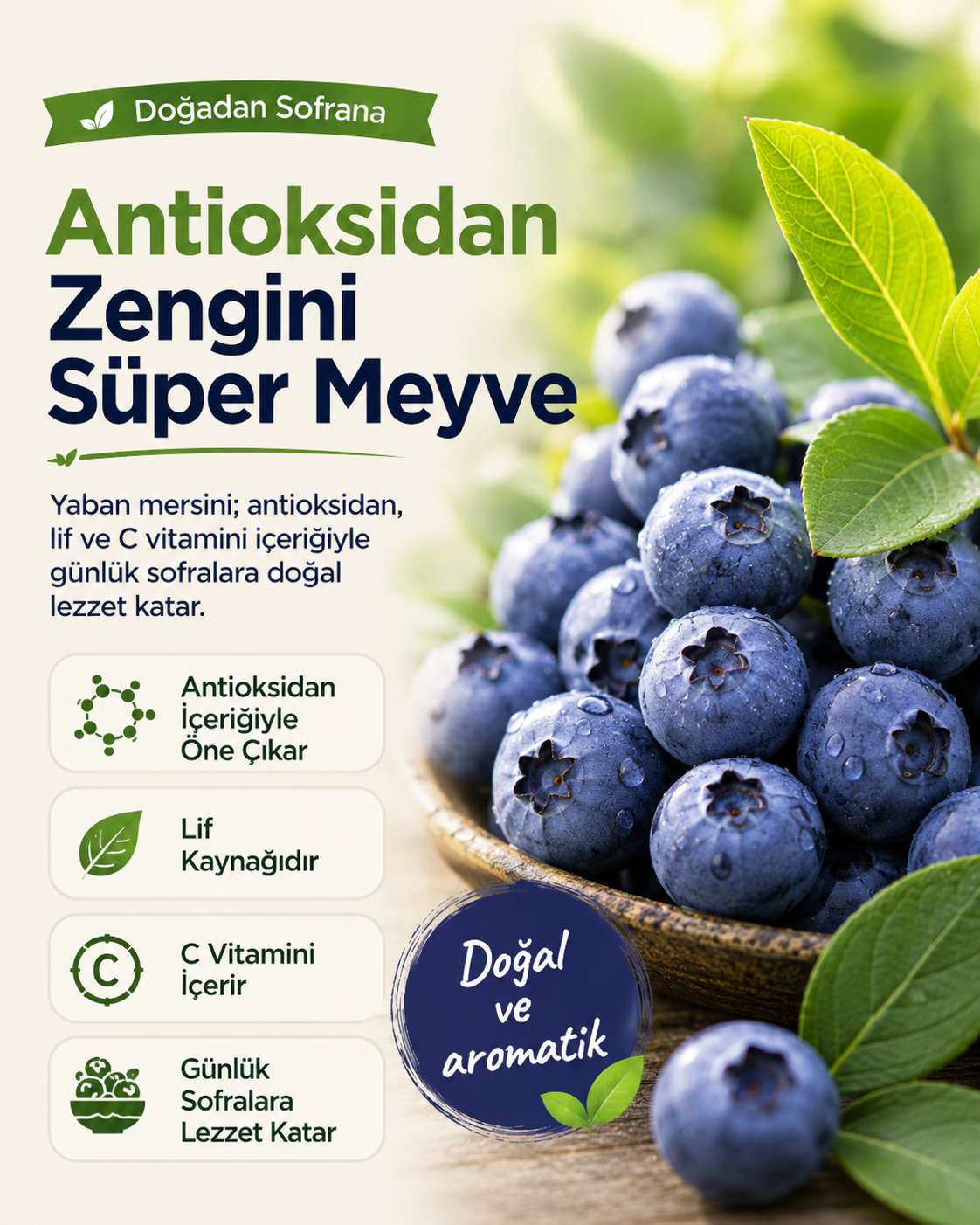 4 Yaş Yaban Mersini Fidanı