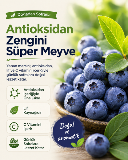 4 Yaş Yaban Mersini Fidanı