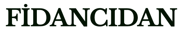 Fidancidan